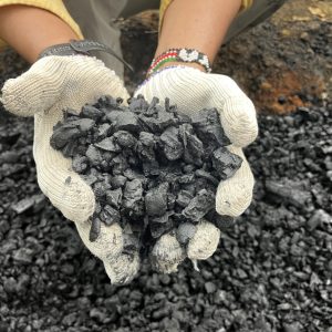 生物炭一公斤裝